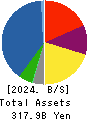 ARE Holdings, Inc. Balance Sheet 2024年Mar期 ARE Holdings, Inc. Balance Sheet 2024年3月期