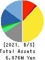 TECMIRA HOLDINGS INC. Balance Sheet 2021年2月期