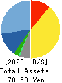 DTS CORPORATION Balance Sheet 2020年3月期