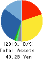 DSB Co., Ltd. Balance Sheet 2019年3月期