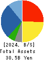 MORIYA CORPORATION Balance Sheet 2024年3月期