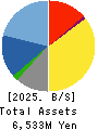 NIKKEN KOGAKU CO.,LTD. Balance Sheet 2025年Mar期 NIKKEN KOGAKU CO.,LTD. Balance Sheet 2025年3月期
