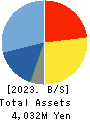 Techfirm Holdings Inc. Balance Sheet 2023年6月期
