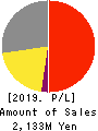 Birdman Inc. Profit and Loss Account 2019年Jun期 Birdman Inc. Profit and Loss Account 2019年6月期