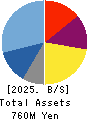 AUN CONSULTING,Inc. Balance Sheet 2025年May期 AUN CONSULTING,Inc. Balance Sheet 2025年5月期