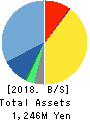 sinops Inc. Balance Sheet 2018年12月期