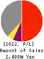 KG Intelligence CO.,LTD. Profit and Loss Account 2022年12月期