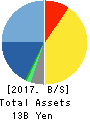 Computer Institute of Japan,Ltd. Balance Sheet 2017年Jun期 Computer Institute of Japan,Ltd. Balance Sheet 2017年6月期