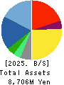 No.1 Co.,Ltd Balance Sheet 2025年Feb期 No.1 Co.,Ltd Balance Sheet 2025年2月期