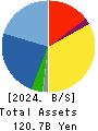 MCJ Co.,Ltd. Balance Sheet 2024年3月期