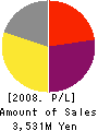 TransDigital Co.,LTD. Profit and Loss Account 2008年3月期