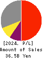 TKP Corporation Profit and Loss Account 2024年2月期
