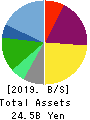 BroadBand Tower, Inc. Balance Sheet 2019年Jun期 BroadBand Tower, Inc. Balance Sheet 2019年6月期