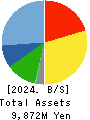 VIS co.ltd. Balance Sheet 2024年Mar期 VIS co.ltd. Balance Sheet 2024年3月期