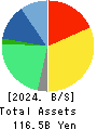 Open Up Group Inc. Balance Sheet 2024年Jun期 Open Up Group Inc. Balance Sheet 2024年6月期
