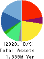 Agent Insurance Group, Inc. Balance Sheet 2020年12月期