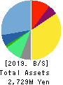 Datasection Inc. Balance Sheet 2019年3月期