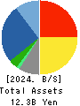 YE DIGITAL Corporation Balance Sheet 2024年2月期