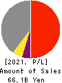 NSD CO., LTD. Profit and Loss Account 2021年3月期