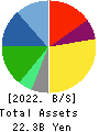 DAIOHS CORPORATION Balance Sheet 2022年3月期