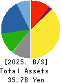 Denkyo Group Holdings Co.,Ltd. Balance Sheet 2025年Mar期 Denkyo Group Holdings Co.,Ltd. Balance Sheet 2025年3月期