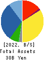 SPK CORPORATION Balance Sheet 2022年3月期