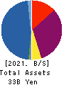 The Global Ltd. Balance Sheet 2021年6月期