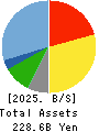TOKEN CORPORATION Balance Sheet 2025年4月期