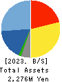 IPS HOLDINGS CO.,LTD. Balance Sheet 2023年Jun期 IPS HOLDINGS CO.,LTD. Balance Sheet 2023年6月期