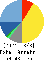 NSD CO., LTD. Balance Sheet 2021年3月期