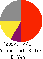 CTS Co., Ltd. Profit and Loss Account 2024年3月期