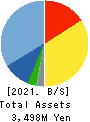 ACMOS INC. Balance Sheet 2021年Jun期 ACMOS INC. Balance Sheet 2021年6月期