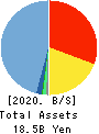 NETSTARS Co.,Ltd. Balance Sheet 2020年12月期