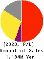 Cyber Security Cloud Profit and Loss Account 2020年Dec期 Cyber Security Cloud Profit and Loss Account 2020年12月期