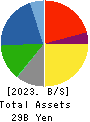 Nippon Pigment Holdings Company Limited Balance Sheet 2023年Mar期 Nippon Pigment Holdings Company Limited Balance Sheet 2023年3月期