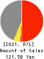 FUJI CORPORATION LIMITED Profit and Loss Account 2021年3月期