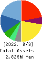 internet infinity INC. Balance Sheet 2022年3月期