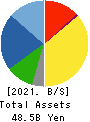 TERASAKI ELECTRIC CO.,LTD. Balance Sheet 2021年Mar期 TERASAKI ELECTRIC CO.,LTD. Balance Sheet 2021年3月期