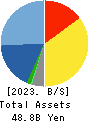 Systena Corporation Balance Sheet 2023年3月期