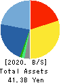 DSB Co., Ltd. Balance Sheet 2020年3月期