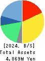 CELM,Inc. Balance Sheet 2024年3月期