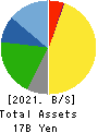 Sumiseki Holdings,Inc. Balance Sheet 2021年3月期