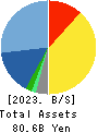 DTS CORPORATION Balance Sheet 2023年Mar期 DTS CORPORATION Balance Sheet 2023年3月期