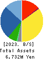 Carchs Holdings Co.,Ltd. Balance Sheet 2023年3月期