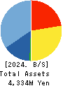 GDEP ADVANCE,Inc. Balance Sheet 2024年May期 GDEP ADVANCE,Inc. Balance Sheet 2024年5月期