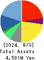 SIG Group Co.,Ltd. Balance Sheet 2024年3月期