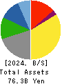 TOMOE CORPORATION Balance Sheet 2024年Mar期 TOMOE CORPORATION Balance Sheet 2024年3月期