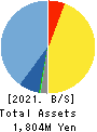 TDSE Inc. Balance Sheet 2021年Mar期 TDSE Inc. Balance Sheet 2021年3月期