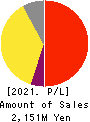 i-plug,Inc. Profit and Loss Account 2021年3月期