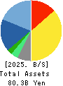 DTS CORPORATION Balance Sheet 2025年Mar期 DTS CORPORATION Balance Sheet 2025年3月期